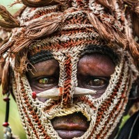 Bones through noses, feathered headdresses and painted faces: Stunning photos offer a glimpse into Indonesia's rarely seen tribes