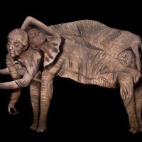 Artist Uses Body Paint to Transform Three Women Into Elephant